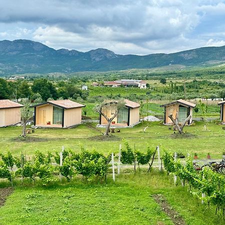 Fishta Guesthouse - Mrizi I Zanave Fishte 외부 사진