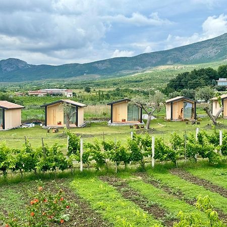 Fishta Guesthouse - Mrizi I Zanave Fishte 외부 사진