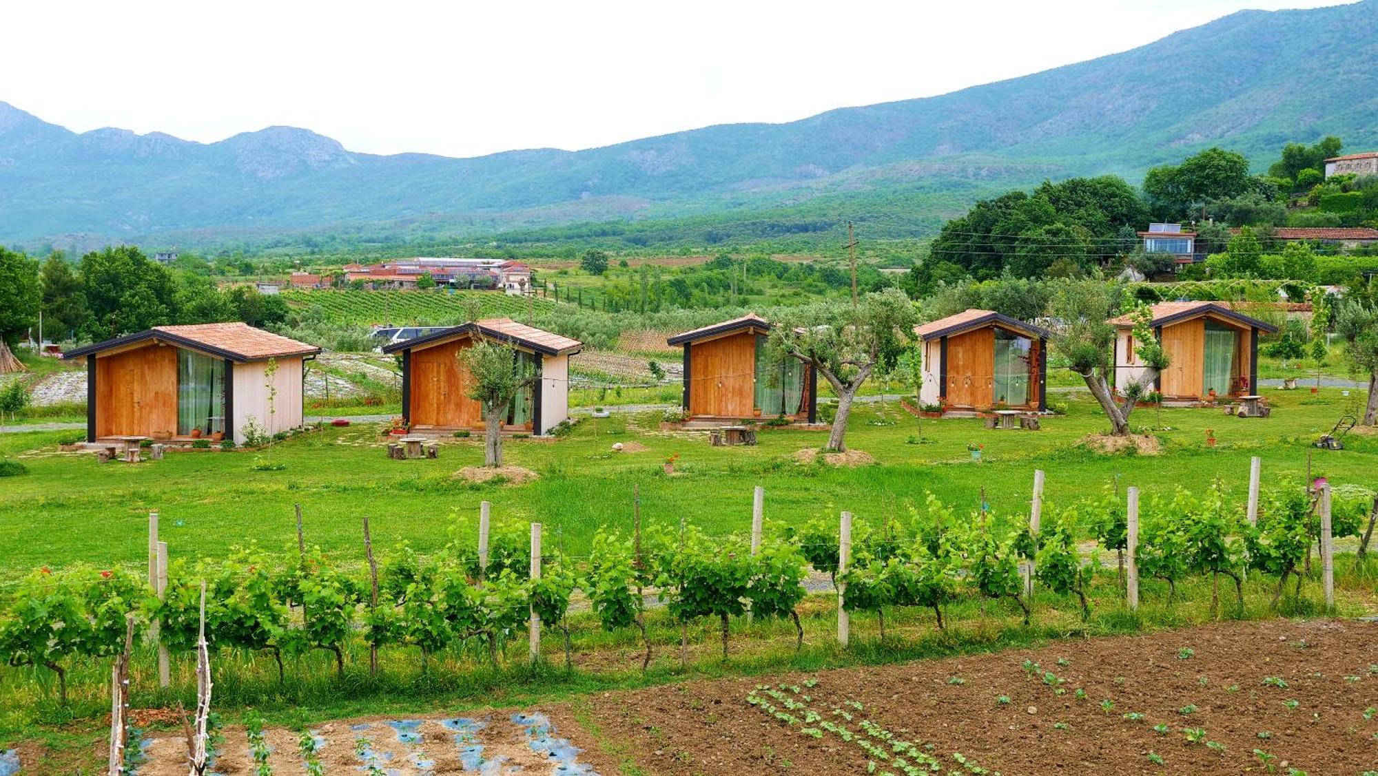 Fishta Guesthouse - Mrizi I Zanave Fishte 외부 사진